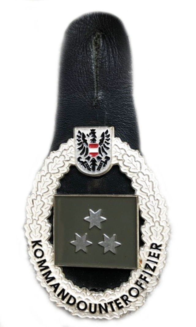 Jahrgang 2010: Das zweite Verwendungsabzeichen für den KdoUO der Streitkräfte in Metall ... (Foto: Bundesheer)