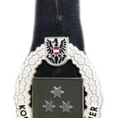 Jahrgang 2010: Das zweite Verwendungsabzeichen für den KdoUO der Streitkräfte in Metall ... (Foto: Bundesheer)