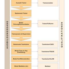 Abfolge der Ausbildung und der dadurch erlangten Qualifikation. (Grafik: RedTD/H.P. Luigi Rizzardi nach Roman Schuh, Werner Wieser)