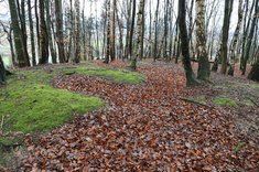 Die Gräben des Stützpunktes sind verfallen und mit Laub befüllt. (Foto: Keusch)