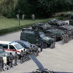 Die Vorführübung mit Elementen der Militärpolizei, Panzergrenadieren und anderen Spezialisten. (Foto: Bundesheer/Sophia Bach)