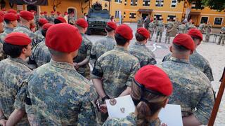 Das Foto zeigt Soldaten der Militärpolizei. (Foto: Bundesheer/Wolfgang Riedlsberger)