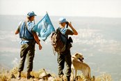 39 Jahre war Österreich an der UN-Mission auf den Golanhöhen beteiligt. (Foto: ÖBH)
