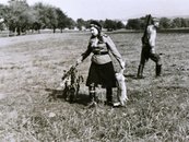 Zwei Angehörige der sowjetischen Besatzungmacht bei einer Jagd im Jahr 1946. (Foto: Kiermaier)