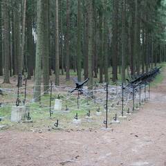 Die Maschinengewehre eines leichten Bunkers vom Modell 37 wirkten in den Waldstellungen flankierend zur Hauptangriffsrichtung entlang von Infanteriesperren. (Foto: RedTD/Gerold Keusch)