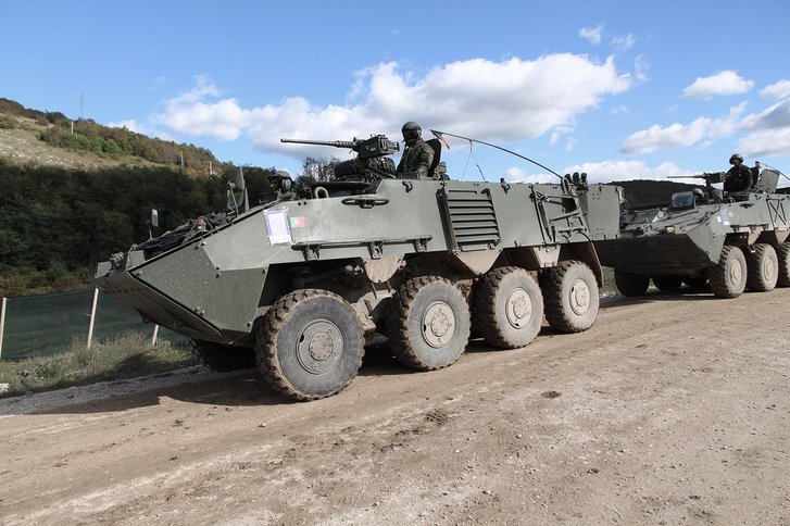 Portugiesischer Radpanzer "Pandur II" auf der Übung 'Quick Response 16'. (Foto: ÖBH/Hoffellner)