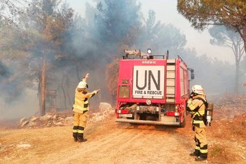 Buschfeuer sind in den Sommermonaten keine Seltenheit. (Foto: Georg Rauchenwald)