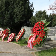 (Foto: RedTD/Miriam Hirschhofer)