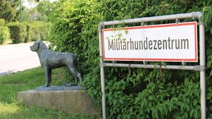 Das Militärhundezentrum Kaisersteinbruch ist die größte Rottweilerzucht der Welt. (Foto: RedTD/Barthou)