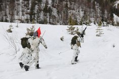 Zwei Soldaten des Bewegungselements beim Vorgehen während des Vorübens eines Scharfschießens im Halbzug. (Foto: TD/Gerold Keusch)