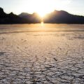 (Foto: Patrick Hendry, unsplash)