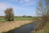 Der Wiener Neustädter Kanal und das Feld auf dem Hinterstoisser am 5. April 1945 robbte. (Foto: RedTD/Gerold Keusch)