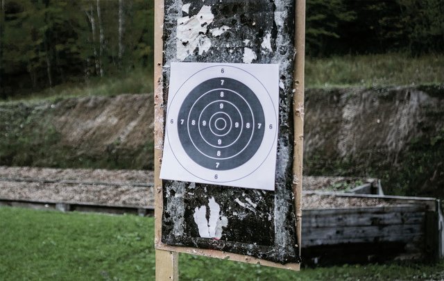 10er-Ringscheibe: Eine klassische Scheibe zur Schulung der Präzision und für Wettkämpfe. (Foto: Bundesheer/Gerald Weihs)