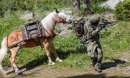 (Foto: Bundesheer/Helmut Steger)