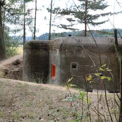 (Foto: RedTD/Gerold Keusch)