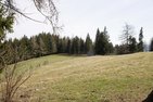 Im Bereich der Hütte befand sich ein deutsches Maschinengewehr, das über die freie Fläche wirkte. Die Geländekante zwischen der Hütte und dem Waldeck wurde als Stellung verwendet. In Verlängerung der Geländekante gab es im Wald weitere Stellungen. (Foto: Gerold Keusch)