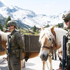 (Foto: Bundesheer/Gunther Pusch)