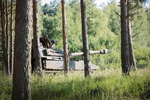 Eine Panzerhaubitze M109 in einem Bereitstellungsraum am Waldrand. (Foto: RedTD/Gerold Keusch)