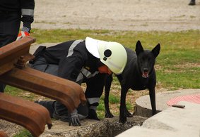 Herr und Hund im Einsatz. (Foto: KdoABCAbw&ABCAbwS)