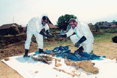 Soldaten beim ECMM Einsatz in Bosnien. (Foto: ÖBH)