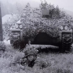 (Foto: Archiv Truppendienst)