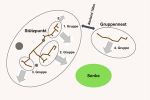 Detailansicht des Stützpunktes und des Gruppennestes. Der Abstand zwischen beiden Anlagen beträgt etwa 150m. Der Stützpunkt hat eine Ausdehnung von 50x20m, das Gruppennest 40x5m. (Grafik: Keusch)