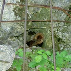 Die Beschusstests dienten unter anderen zur Erprobung der "Röchling-Granaten", von denen heute noch etliche in den Bunkern stecken. Sie ist vom Wirkungsprinzip mit einem Pfeilggeschoss zu vergleichen und sollte vor allem gegen Bunker zum Einsatz kommen. (Foto: Bundesheer/Robert Mitterbauer)