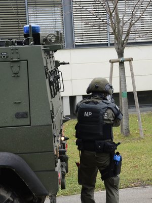 Ein Soldat der Militärstreife/Militärpolizei sichert das Vorgehen seiner Kameraden. (Foto: Bundesheer/Karl Schön)