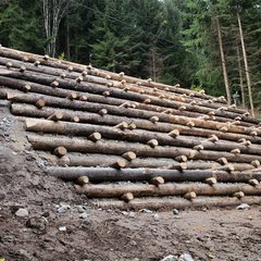 Die fertige Krainerwand stabilisiert einen rutschgefährdeten Hang in Frankenfels/Schrammbach. Sie muss den Hang entwässern und darf daher nicht als Sperrwerk wirken. (Fotos: Bundesheer/Felix Höbarth)