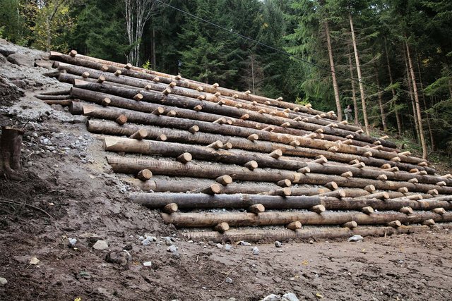 Die fertige Krainerwand stabilisiert einen rutschgefährdeten Hang in Frankenfels/Schrammbach. Sie muss den Hang entwässern und darf daher nicht als Sperrwerk wirken. (Fotos: Bundesheer/Felix Höbarth)