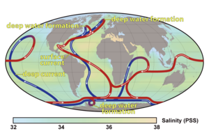 Thermohaline Zirkulation. (Grafik: Robert Simmon, NASA)