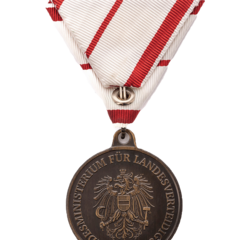 Einsatzmedaille lit. d Rückseite (Foto: Peter Steiner)
