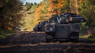 Ein Panzergrenadierzug rückt aufgesessen vor. (Foto: Rainer Zisser)