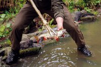 Speeren eines Fisches in einem Bach. (Foto: Bundesheer)