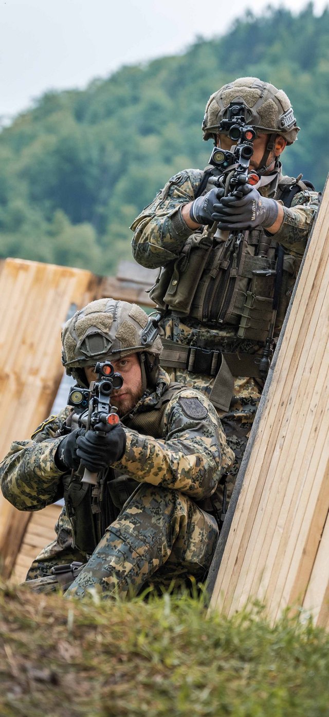 (Foto: Bundesheer/Rainer Zisser)