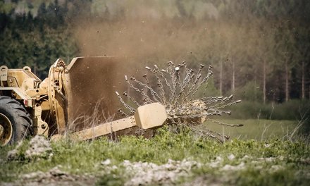 (Foto: Bundesheer/Kurt Kreiblich)