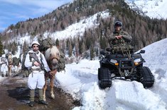 Neben modernem Gerät, wie Quads mit Raupen, sind Tragtiere noch immer notwendig, um Ausrüstung und Versorgungsgüter im Gebirge zu transportieren. (Fotos: Bundesheer/Martin Hörl)