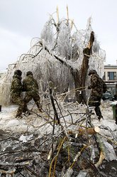 Es bestand die Gefahr, dass durch die Eislast unerwartet eine Baumkrone zusammenbricht. (Foto: Toic)