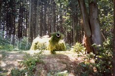 Der Panzerturm ist getarnt und "einsatzbereit". (Foto: Archiv Jägerbataillon 12)