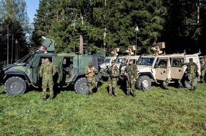 Kameraden der tschechischen Streitkräfte während der Übung. (Foto: Bundesheer/Christian Leneis)
