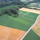 Luftaufnahme vom Ort des ehemaligen Kastells Stein. (Foto: UIBK https://www.uibk.ac.at/Gerald Grabherr)