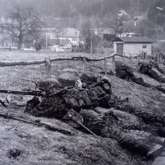 (Foto: Archiv Truppendienst)