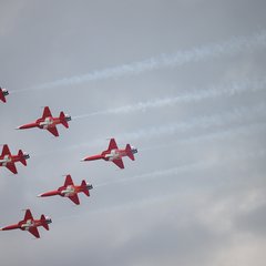 Die Patrouille Suisse der Schweizer Luftwaffe mit F-5-Kampfjets. (Foto: Bundesheer/Daniel Trippolt)