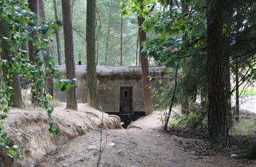 Ein Bunker des tschechoslowakischen Walls im Jahr 2018. (Foto: RedTD/Gerold Keusch)