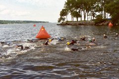 Das Rennen hat begonnen. (Foto: Archiv Wildpanner)