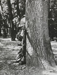 Auch ein Baum kann als seitliche Auflage verwendet werden. (Foto: TD 3/1963)