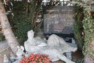 Der steinerne Soldat war früher ein Element des Kriegerdenkmales, das nach dem Ersten Weltkrieg in Ober-Grafendorf errichtet wurde. Heute befindet er sich am Kriegsgrab des Ortsfriedhofes. (Foto: RedTD/Gerold Keusch)