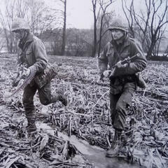 (Foto: Archiv Truppendienst)