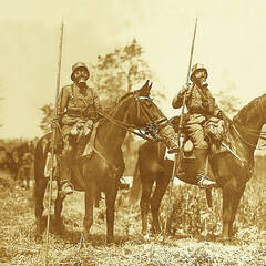 Nicht nur Soldaten, sondern auch Pferde wurden im Ersten Weltkrieg mit Schutzmasken ausgestattet. (Foto: Archiv Erwin Richter)