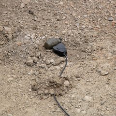 (Foto: RedTD/Gerold Keusch)